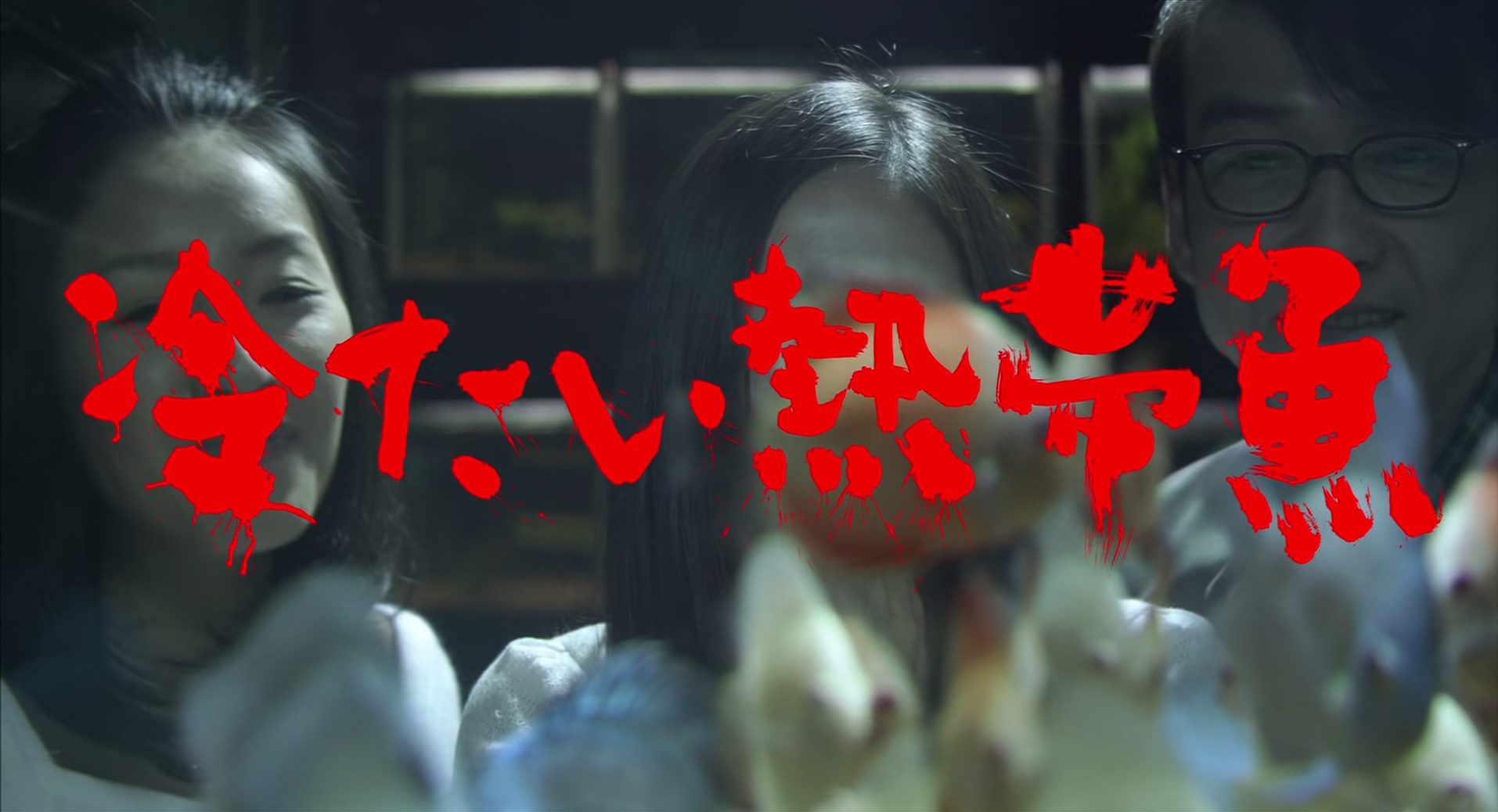 冰冷热带鱼