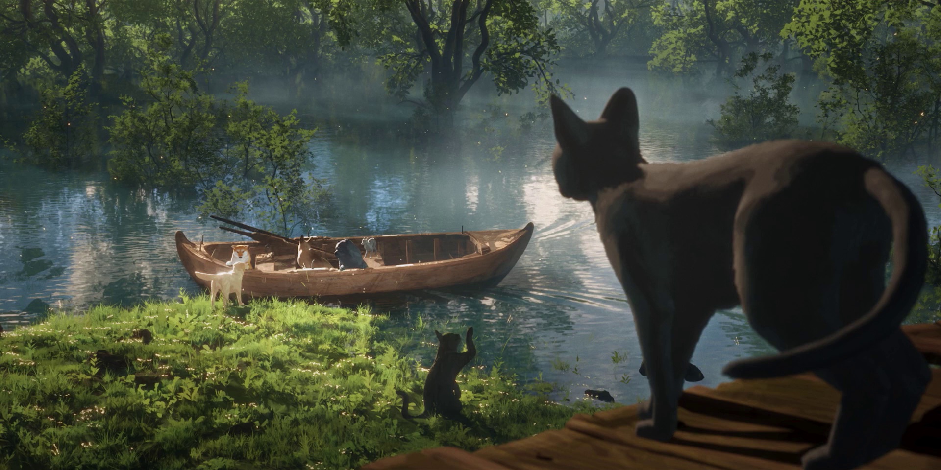 猫猫的奇幻漂流